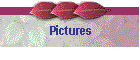 Pictures